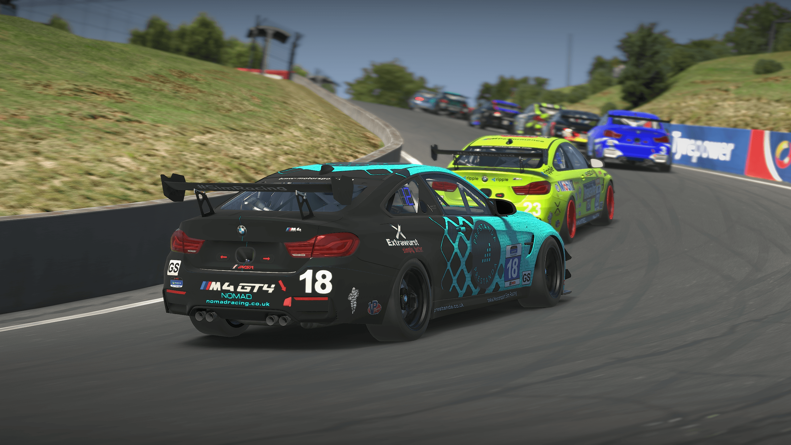 Corey_BMW GT4_Bathurst.png