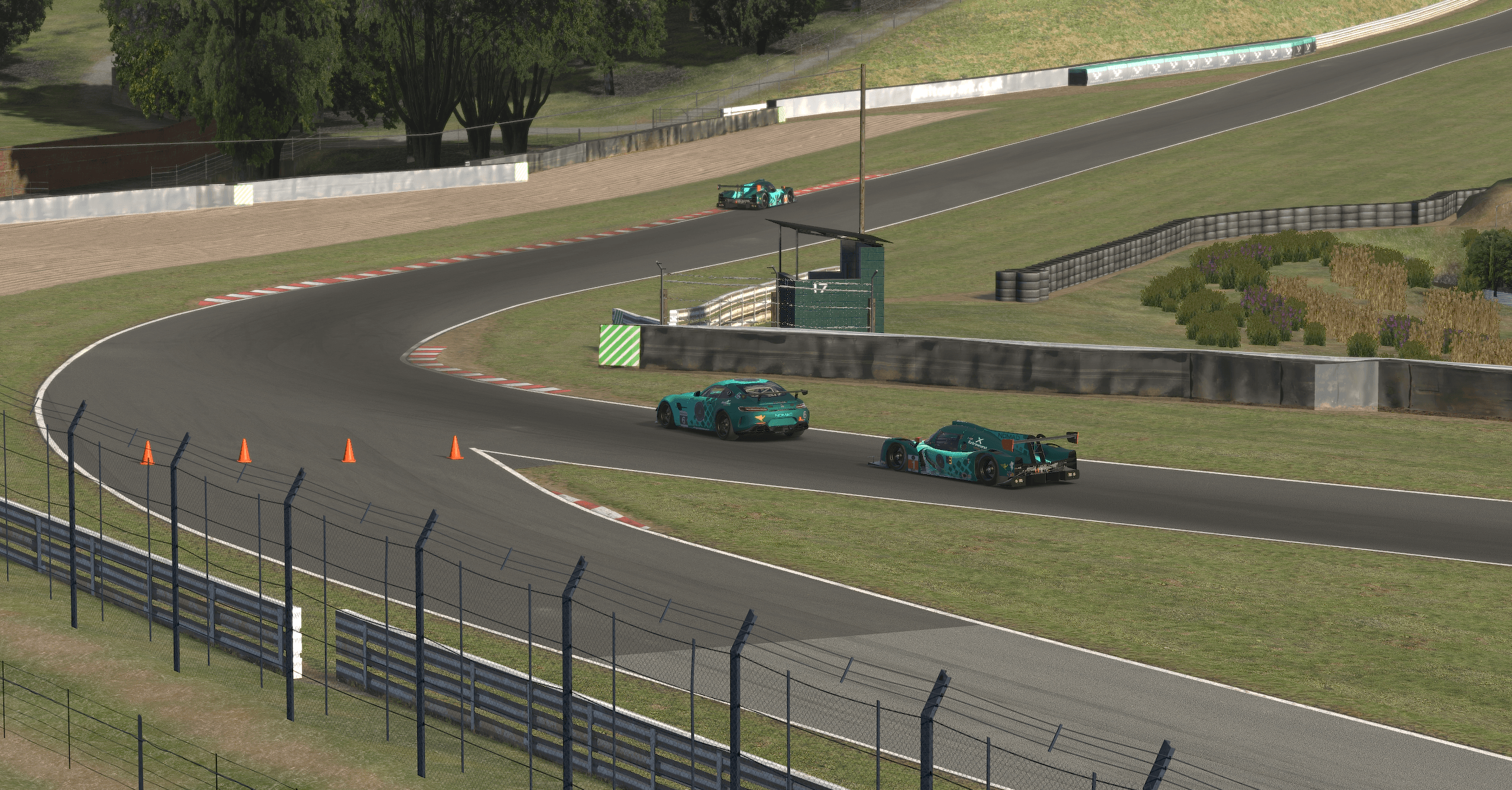 Merc_gt4__lmp3_Falken_Oulton_Doyle_Dilworth_Lane_1